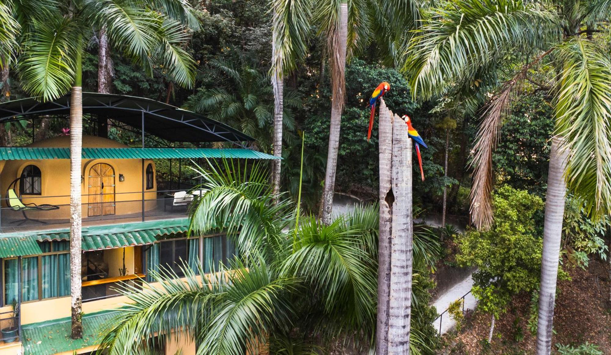 Boutique Hotel Las Cascadas 마누엘안토니오 외부 사진